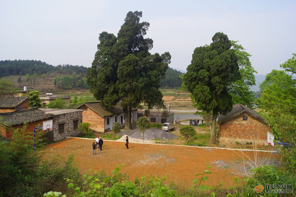 土馬村 土馬村