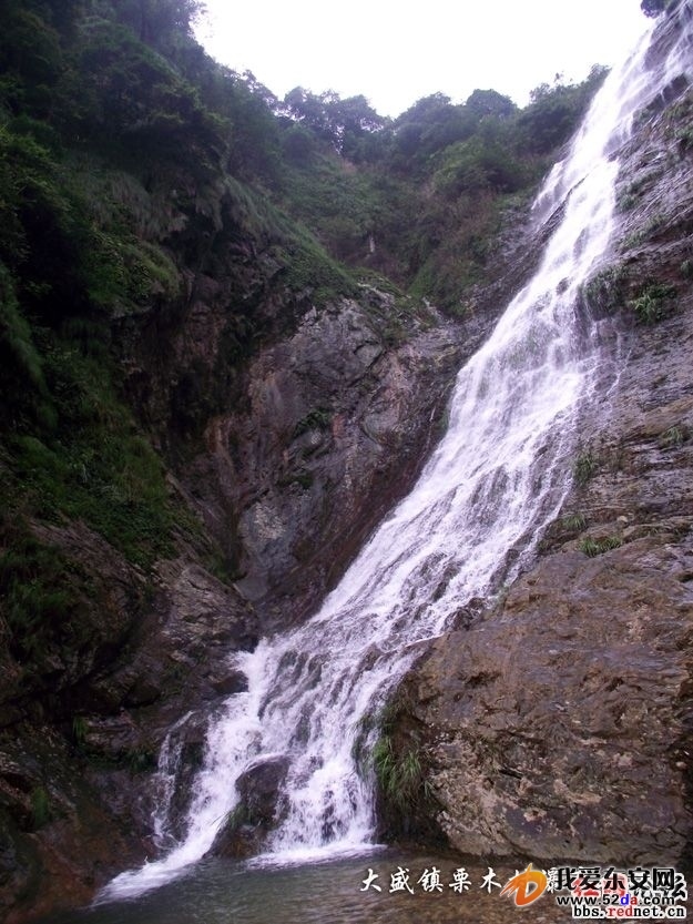 104359xxcsae8eiiepdzyp.jpg