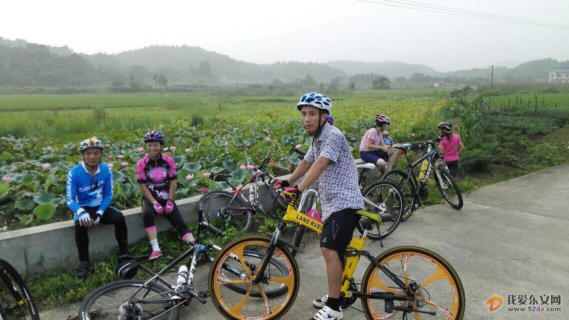傳騎單車-荷花盛開的季節(jié)！.jpg