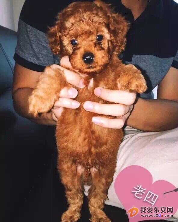 圖片3.jpg