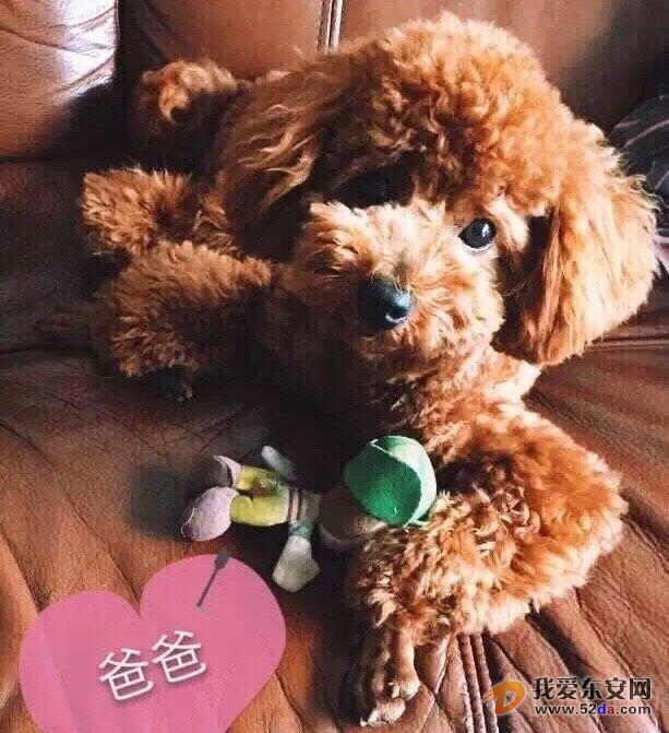 圖片5.jpg