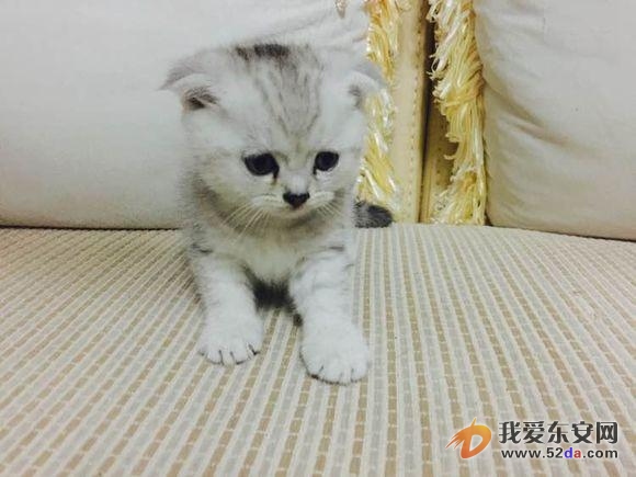 圖片2.jpg