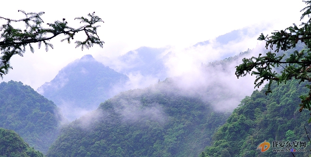 雨后的山顶，云雾缭绕，宛如仙境