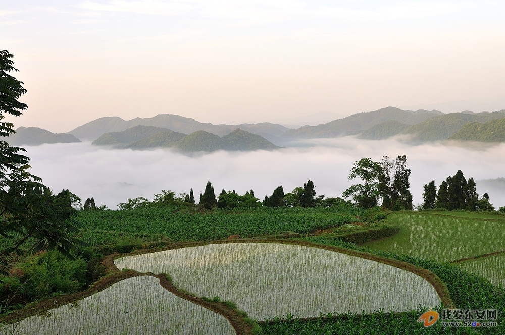 田园雾景，美不胜收——唐明登摄.jpg