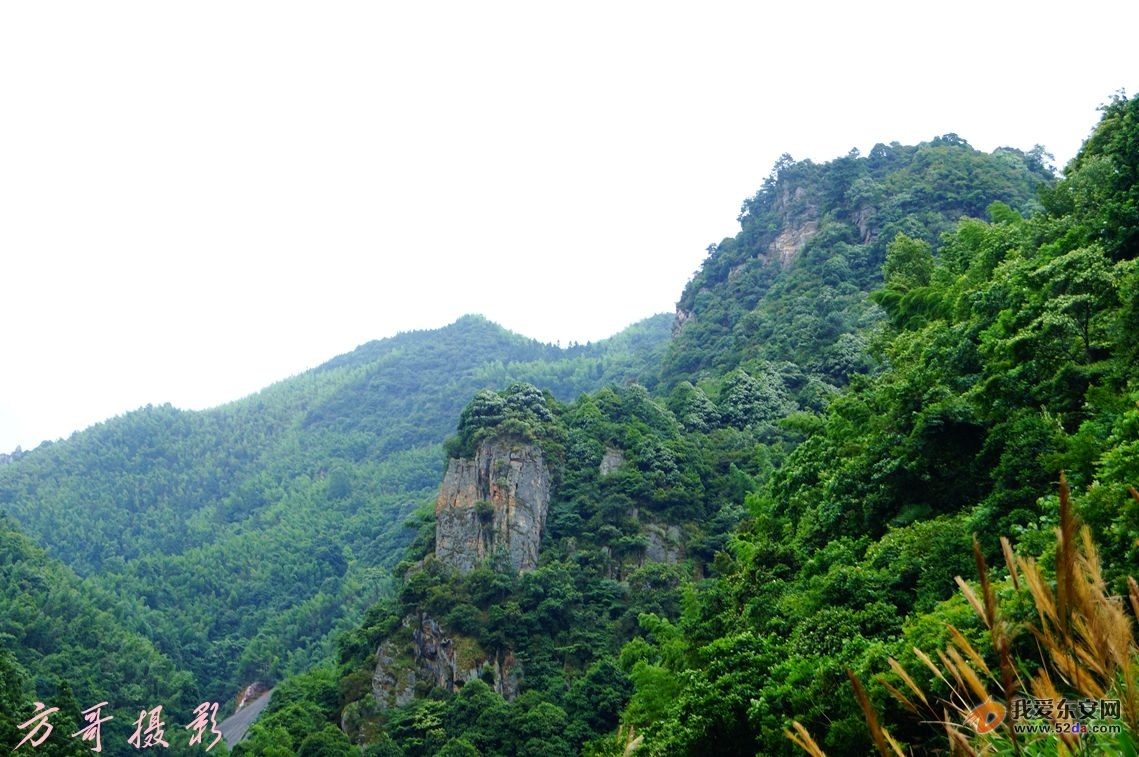 DSC00681_副本.jpg DSC00681_副本.jpg