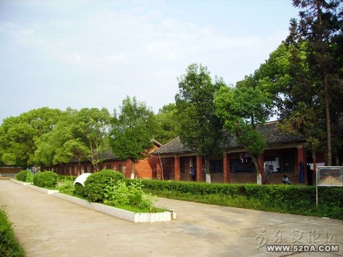 PICT0093.jpg