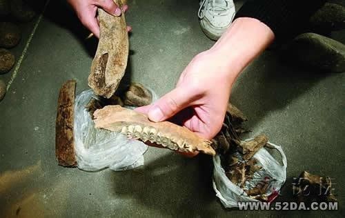 出土的獸骨和石器表明這一時(shí)期的主要?jiǎng)趧由a(chǎn)方式為狩獵(