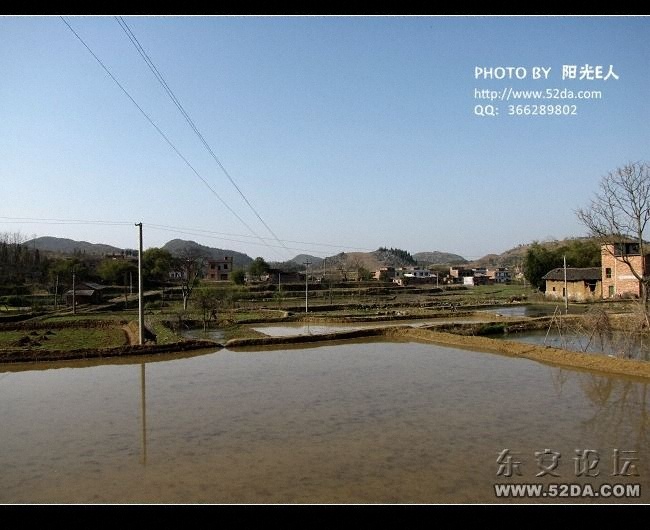 荷池中學(xué)門口的田園