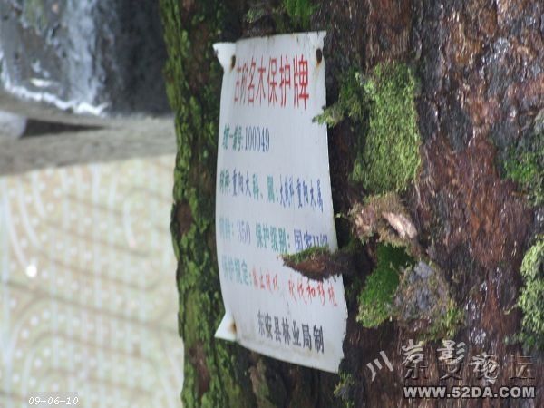DSCF6354.jpg