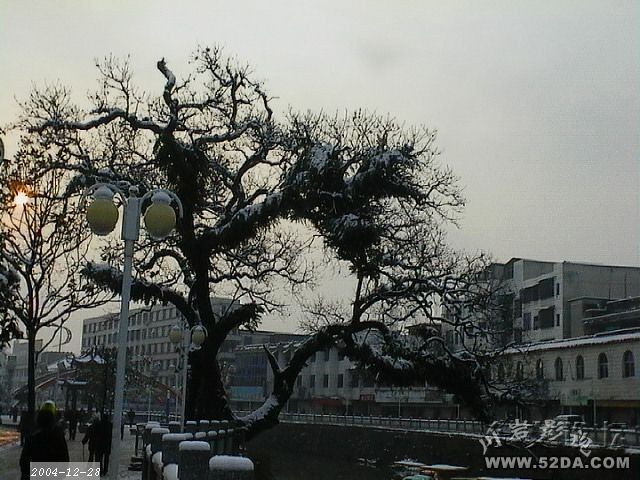 IMGA1237.jpg