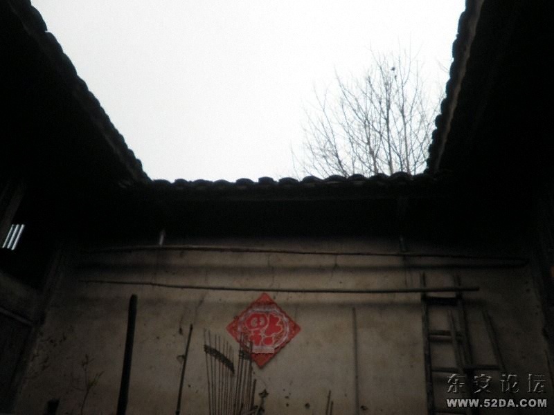 P2050205.JPG