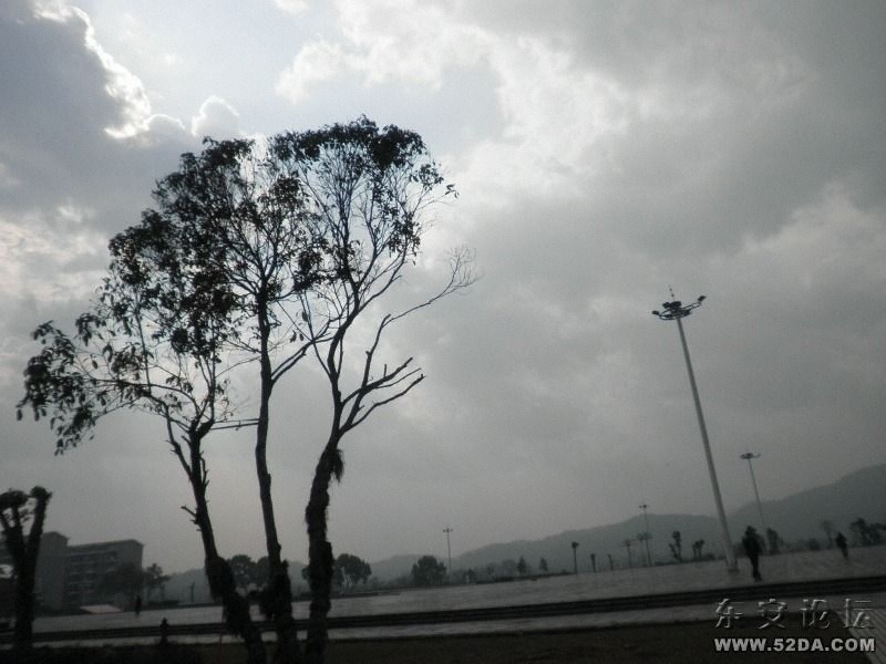 P2090446.JPG