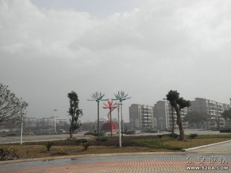 P2090483.JPG