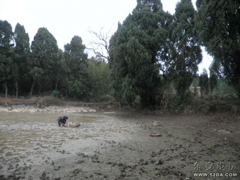 捉呀捉，年年有魚