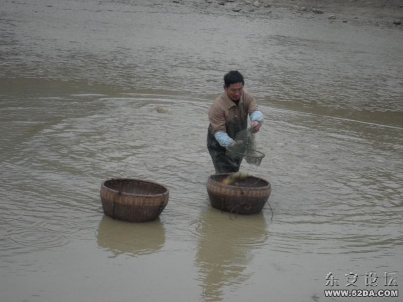 捉魚