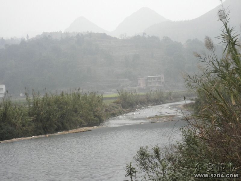 照片 206.jpg