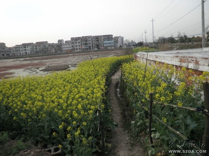 工廠附近