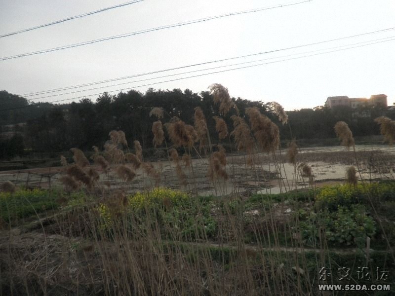 冬去春來