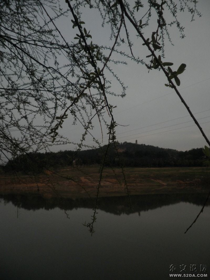 P3170052.JPG