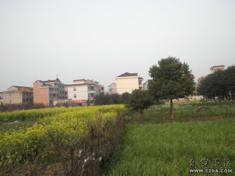 P3180064.JPG