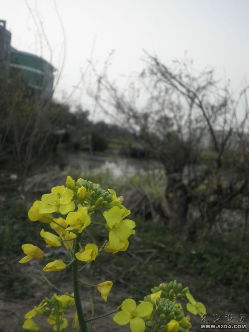 P3180065.JPG