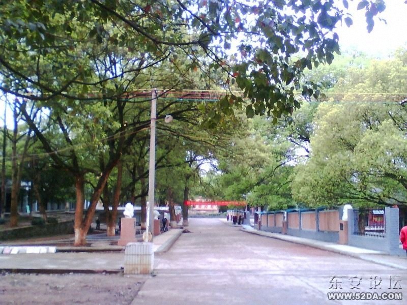 IMG0410A.jpg