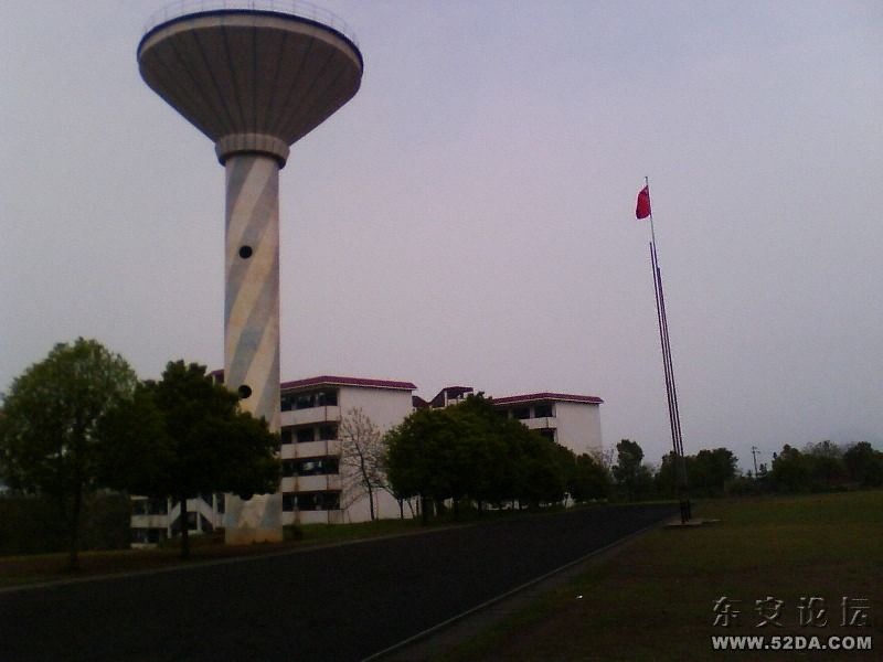 IMG0429A.jpg