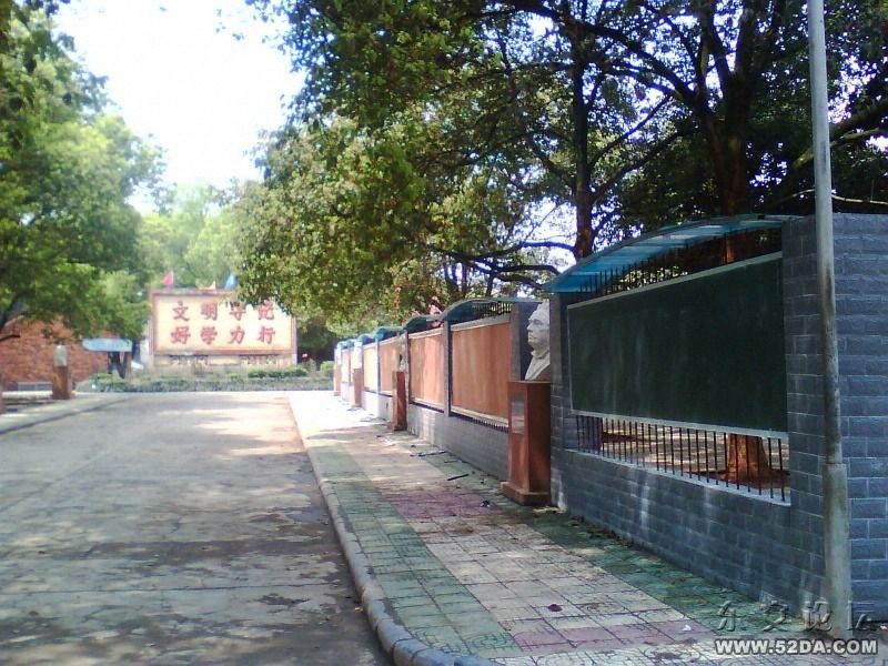 IMG0433A.jpg
