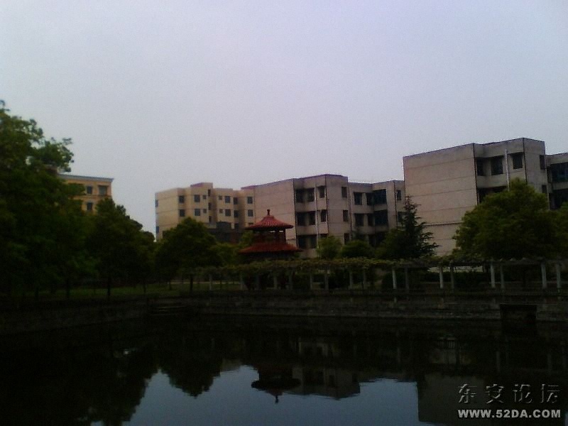 IMG0422A.jpg