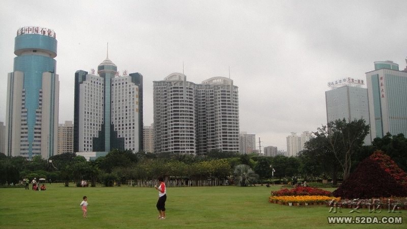 水泥森林