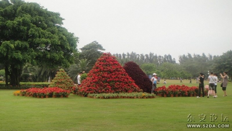 綠與紅