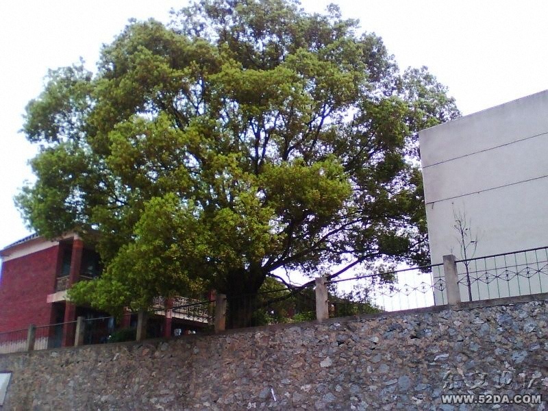 IMG0354A.jpg