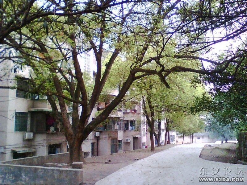 IMG0353A.jpg