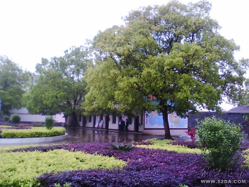 IMG0806A.jpg