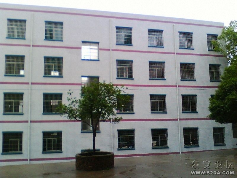 IMG0808A.jpg
