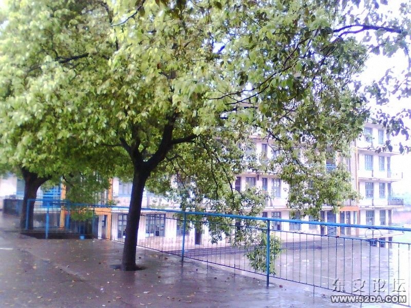 IMG0812A.jpg