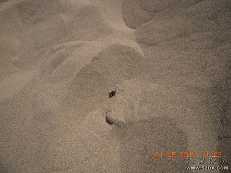 DSCN0521.JPG