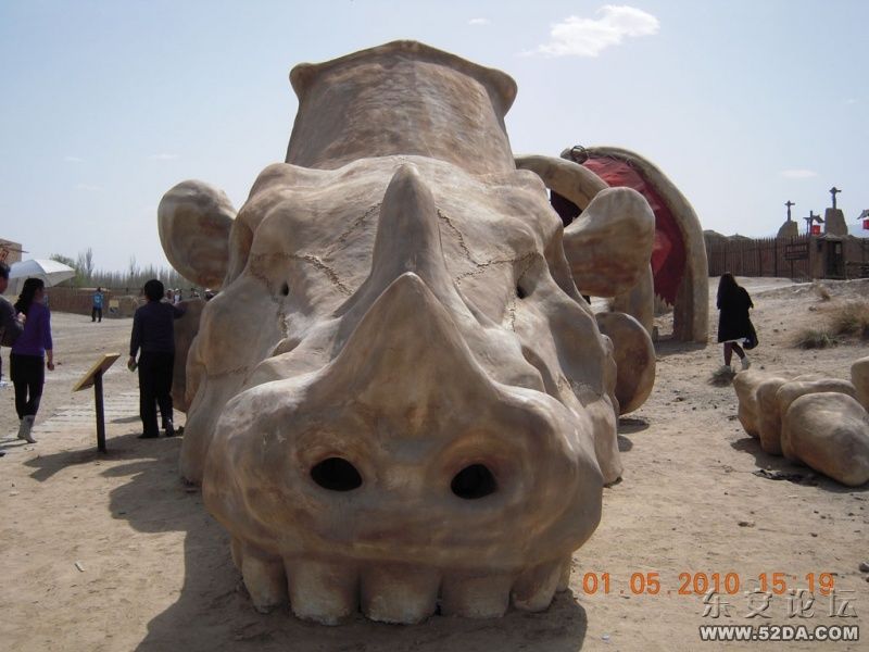 DSCN0564.JPG