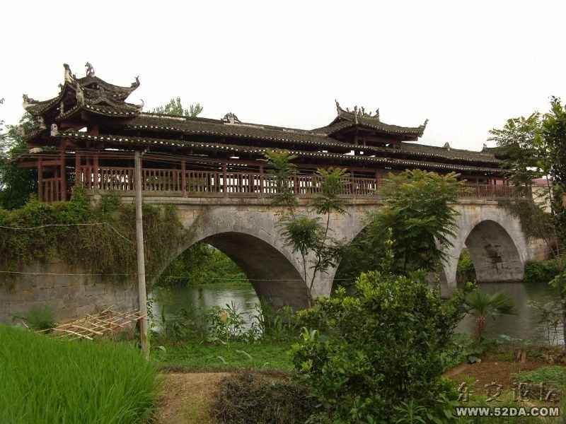 DVCI1858.JPG