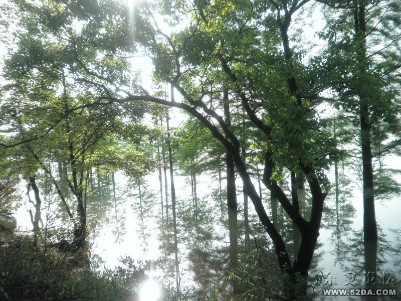 水庫